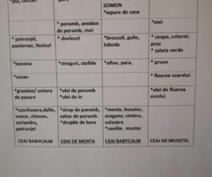 Organizarea mesei sau Menu planning