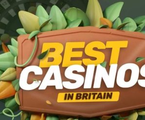 Mr Jones Casino: A Quick Reality Check